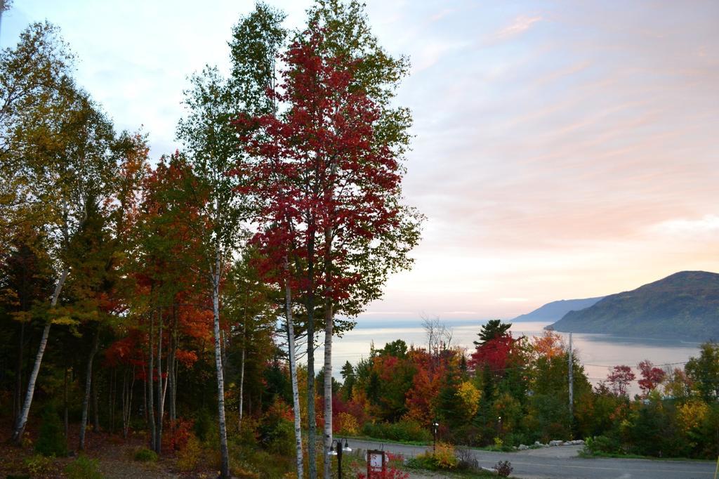 Gite Nature Et Pinceaux Bed & Breakfast Baie-Saint-Paul Eksteriør bilde